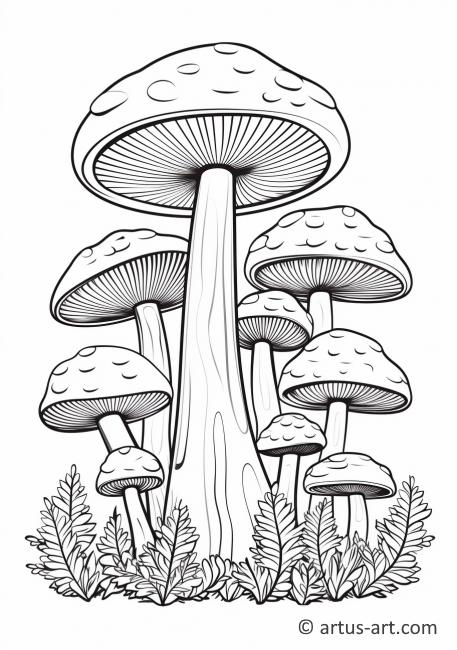 Раскраска Круг грибов